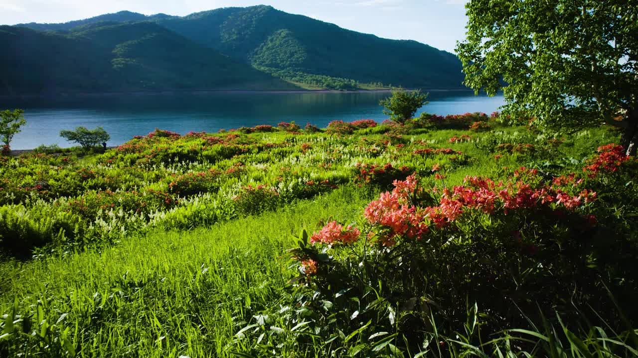 野索湖