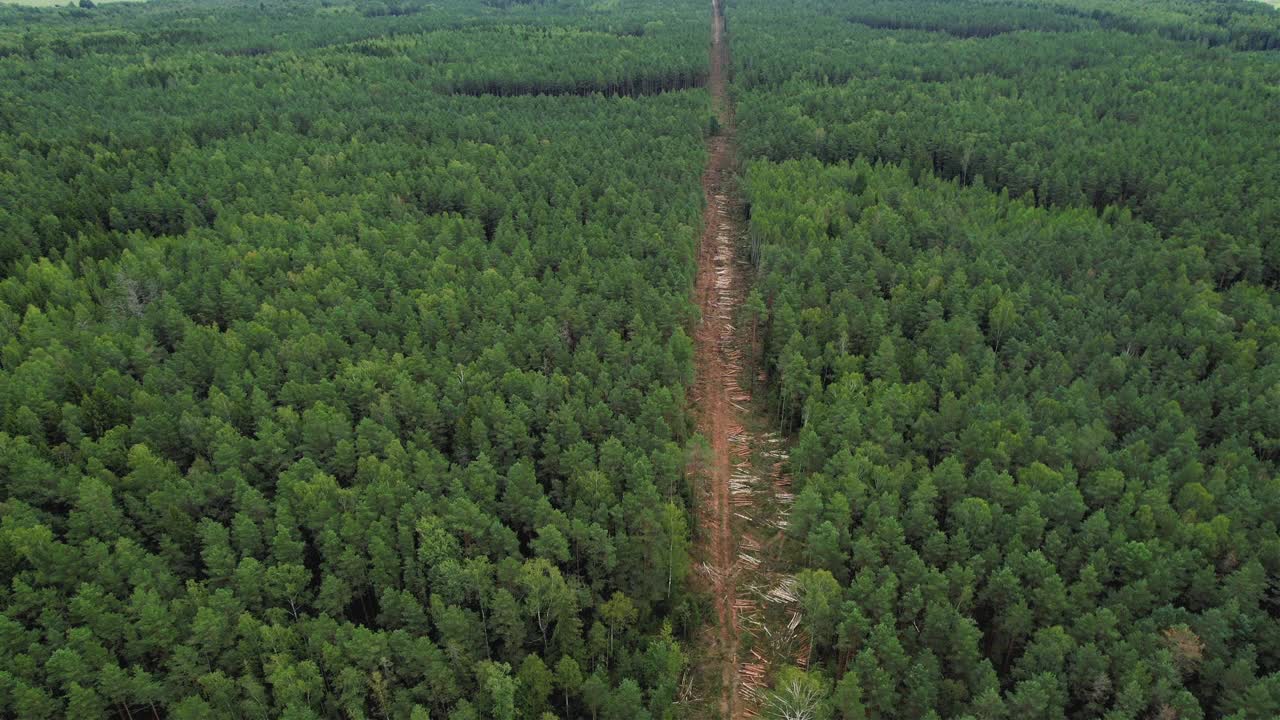 砍伐森林的无人机视图监测。四轴飞行器跟踪非法砍伐森林。无人机为环境服务。