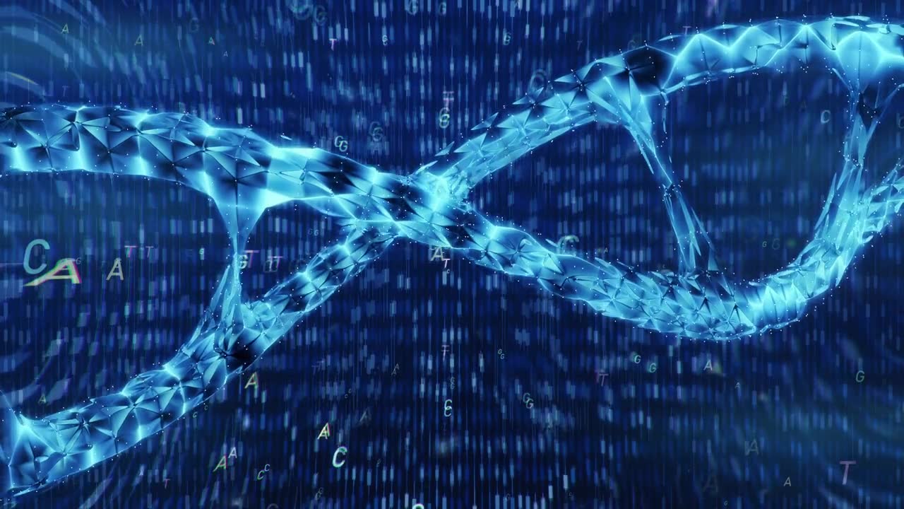 详情图-DNA测序TACG
