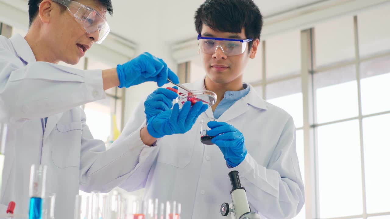 现代实验室两位科学家进行实验。