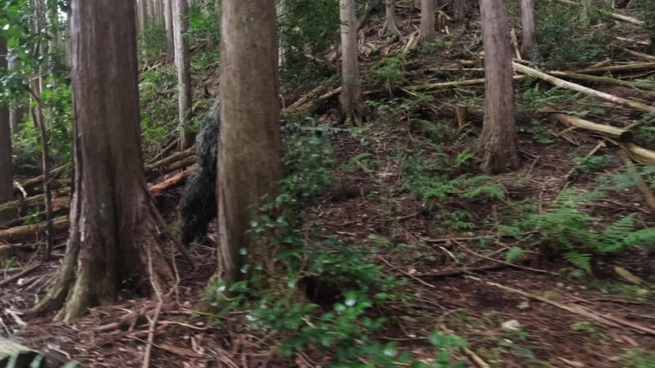 穿着吉利制服的狙击手在森林里潜行