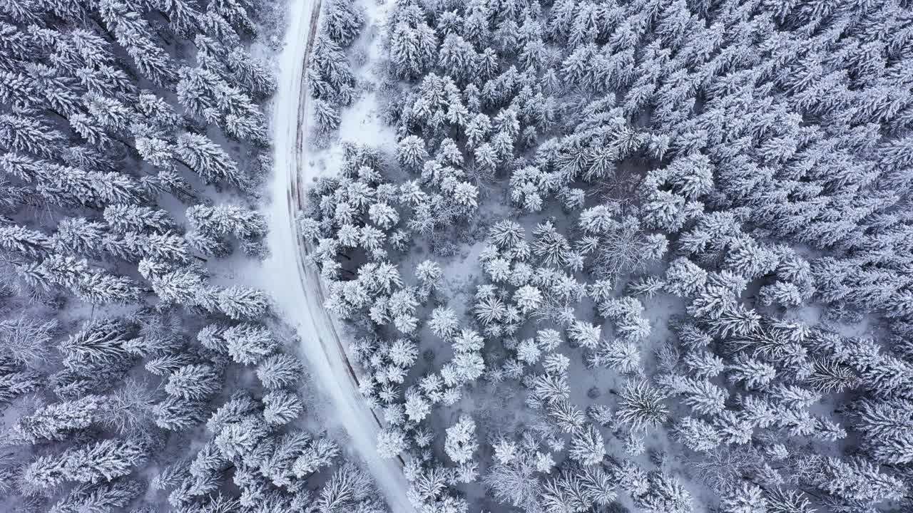 穿过冬日森林的道路