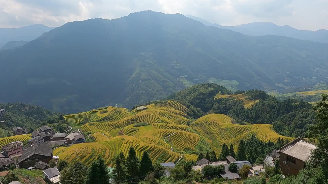 中国广西的龙基瑶族和壮族水稻梯田