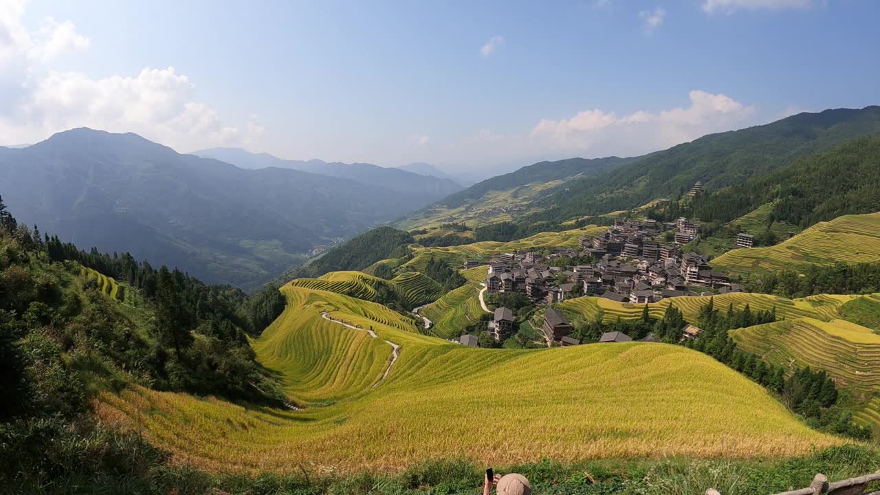 中国广西壮观的梯田(水稻梯田)