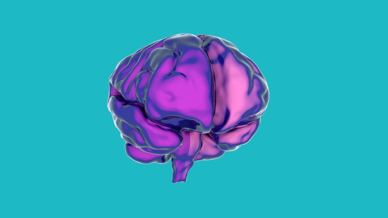 3D抽象艺术的大脑运动设计