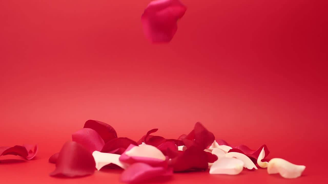 玫瑰花瓣