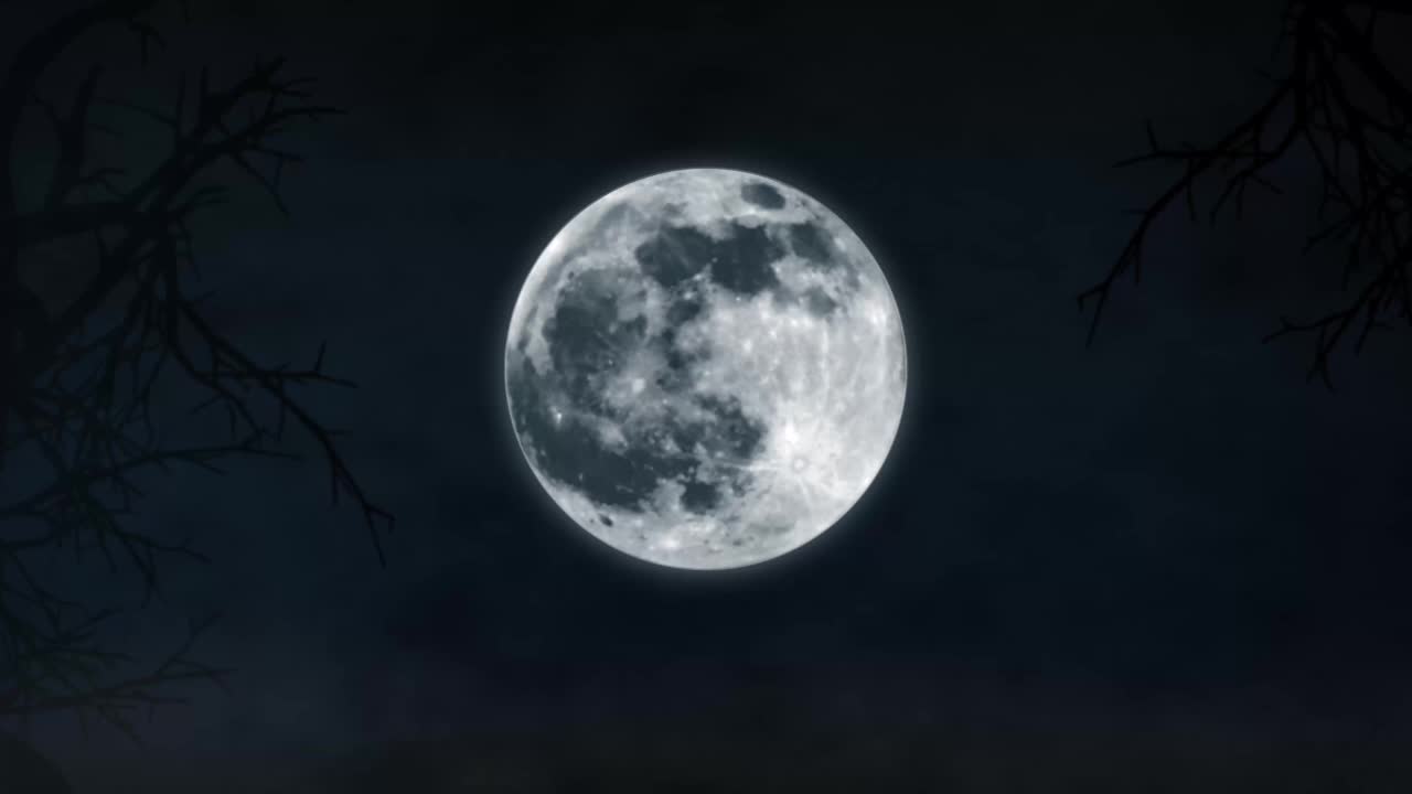 蝙蝠飞行动画。月夜背景上的万圣节蝙蝠。
