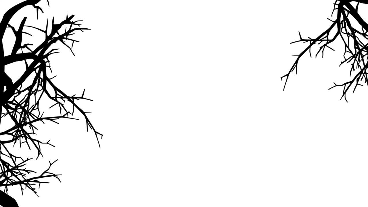 蝙蝠飞行动画。月夜背景上的万圣节蝙蝠。