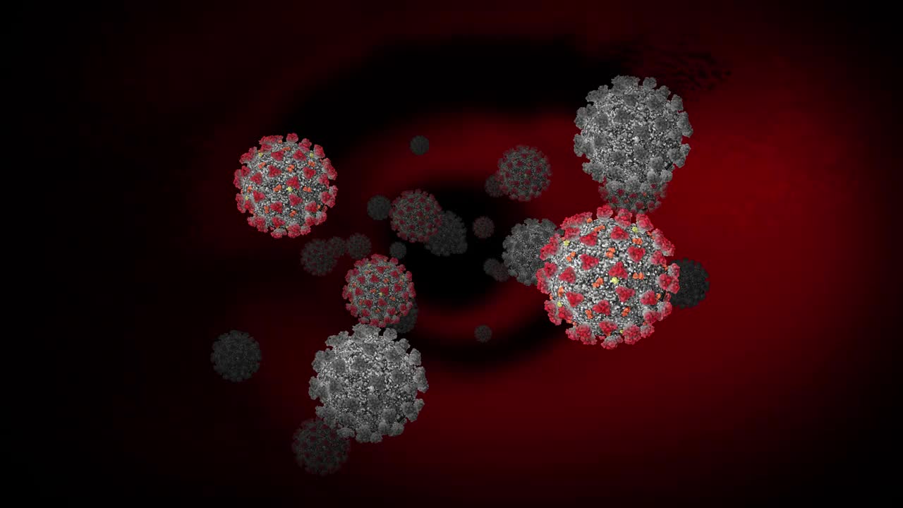 概念12-V1冠状病毒3D动画(SARS-CoV-2)