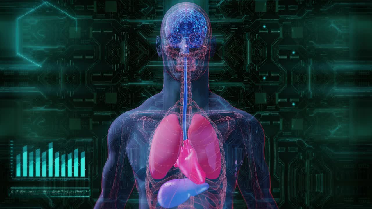 人体医学扫描