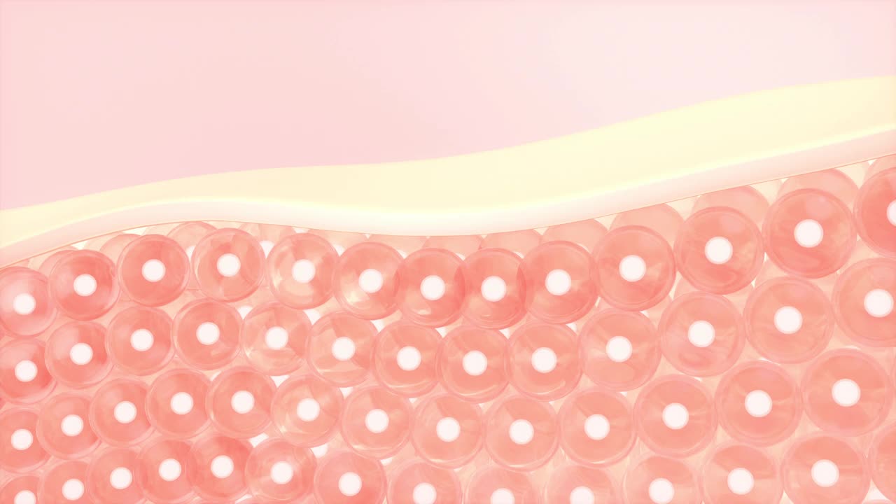 细胞和皮肤，3d渲染。