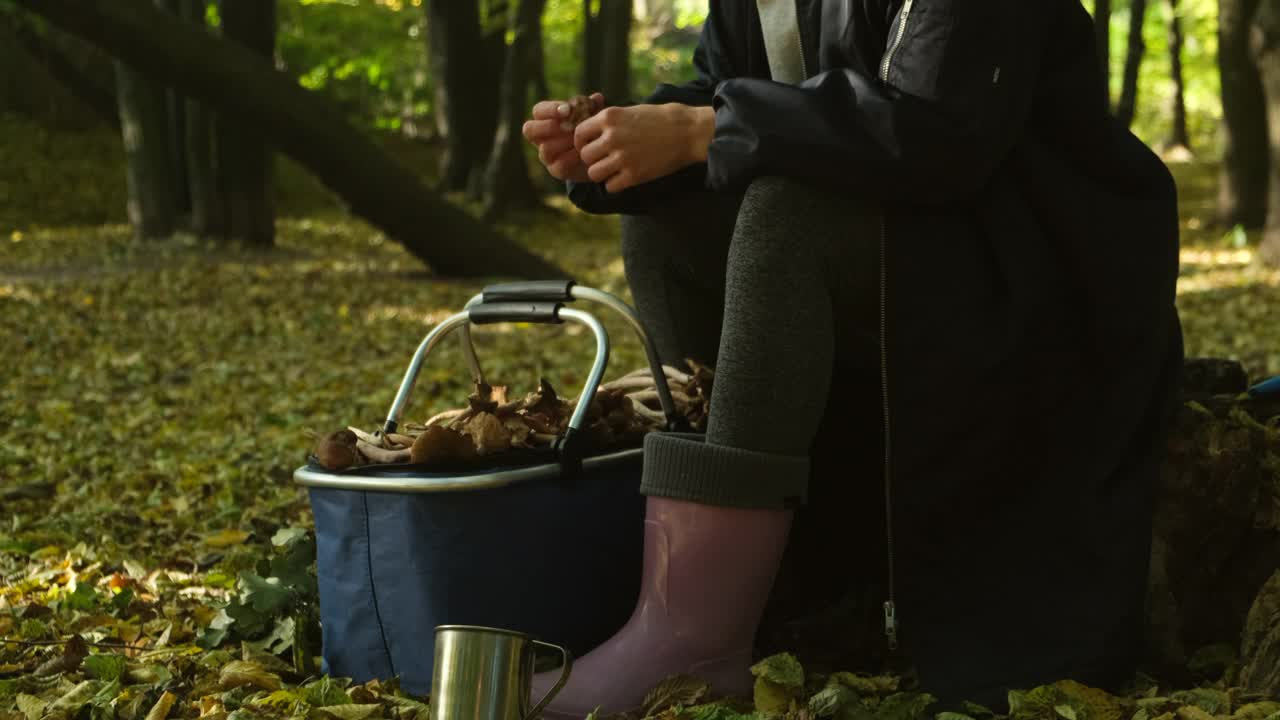 女人切蘑菇。远足时，一名妇女在户外剥可食用的松露