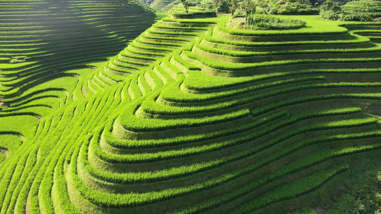 梯田