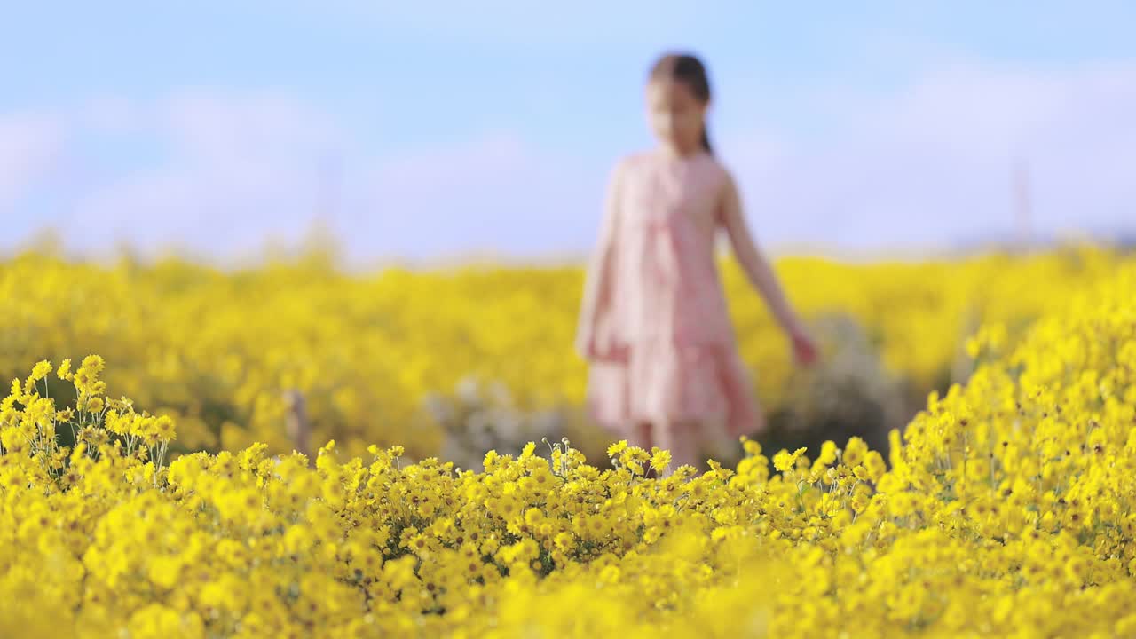 亞洲女孩在黃花中奔跑