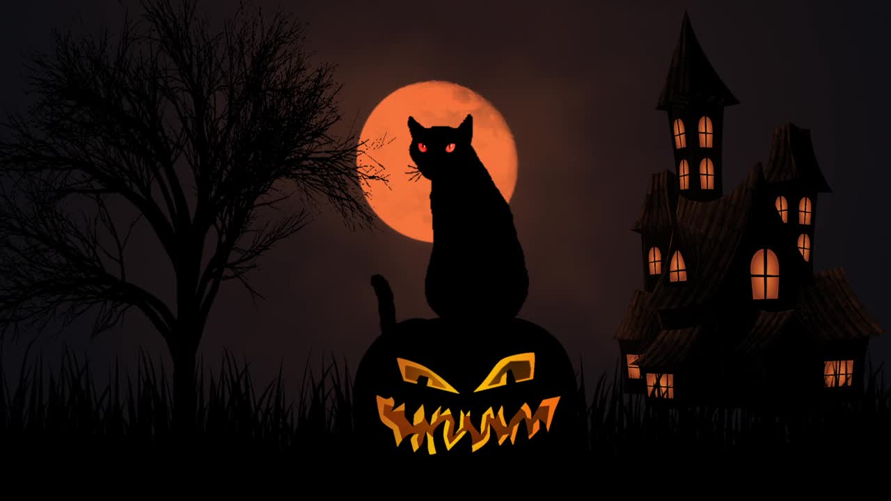 黑猫眨着眼睛，坐在老房子上的万圣节南瓜灯上，蝙蝠在夜空中飞翔。令人毛骨悚然的万圣节装饰