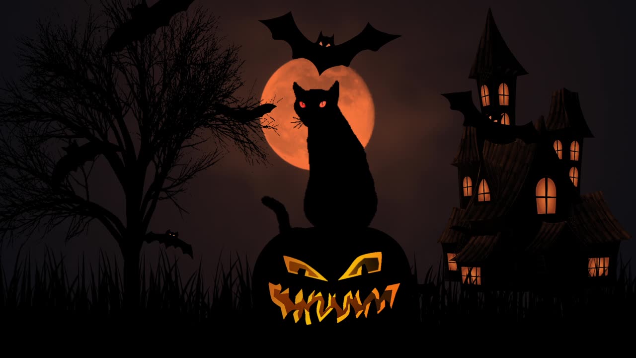 詳情圖-黑貓眨著眼睛，坐在老房子上的萬(wàn)圣節(jié)南瓜燈上，蝙蝠在夜空中飛翔。令人毛骨悚然的萬(wàn)圣節(jié)裝飾