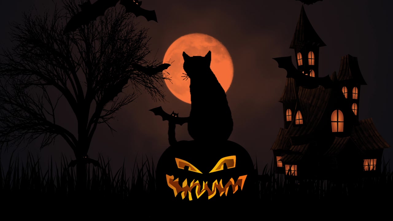 詳情圖-黑貓眨著眼睛，坐在老房子上的萬(wàn)圣節(jié)南瓜燈上，蝙蝠在夜空中飛翔。令人毛骨悚然的萬(wàn)圣節(jié)裝飾