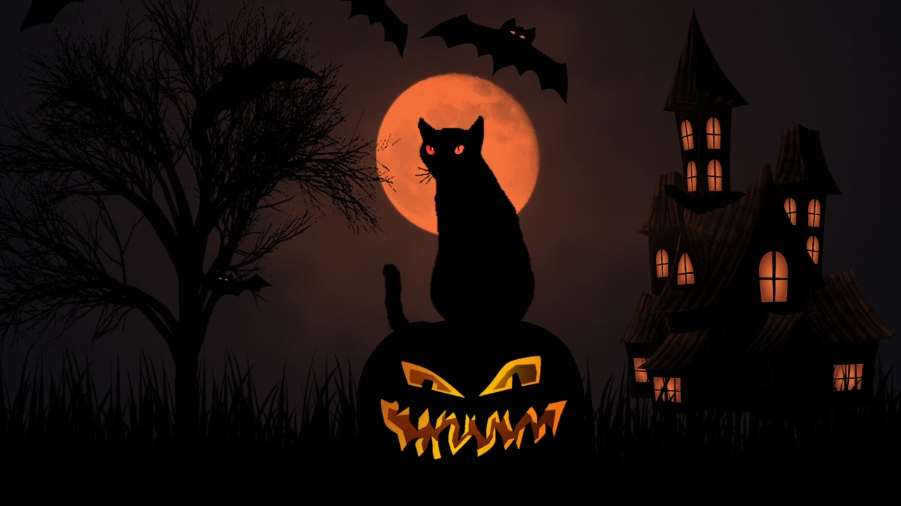 詳情圖-黑貓眨著眼睛，坐在老房子上的萬(wàn)圣節(jié)南瓜燈上，蝙蝠在夜空中飛翔。令人毛骨悚然的萬(wàn)圣節(jié)裝飾