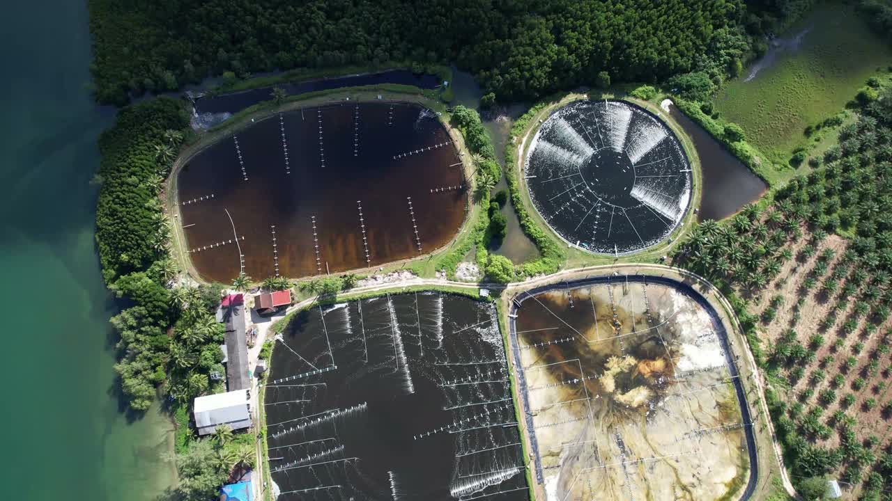 鸟瞰图的水处理虾和鱼场