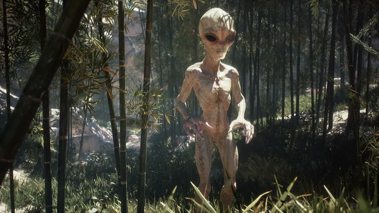 一个外星人在茂密的森林中欣赏着自己星球上的红月亮。发现和探索新行星的概念。这部动画非常适合太空或科幻背景。