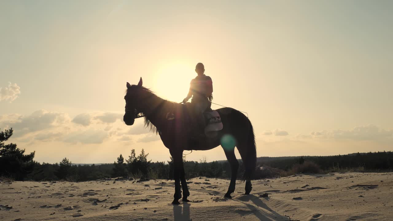 騎馬。愛馬。女騎馬人的剪影，騎著馬在沙山頂俯瞰松林，在夕陽西下，在溫暖的夏日陽光下。背光