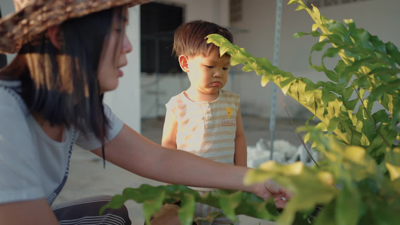 可持续生活方式:园艺