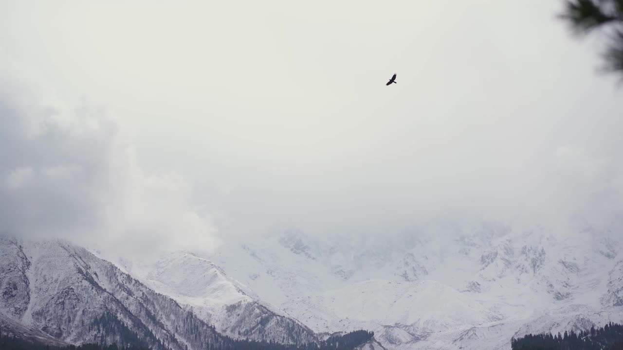 南迦帕尔巴特山的风景