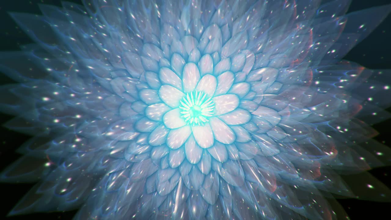文摘Lotus背景