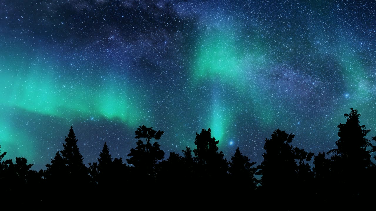 详情图-极光北极光树度假旅游冬季森林景观星空4k