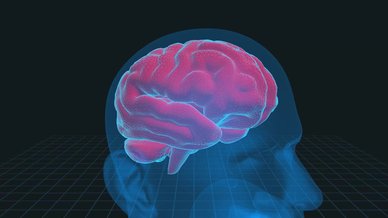 人脑3D插图- 4K循环医学背景
