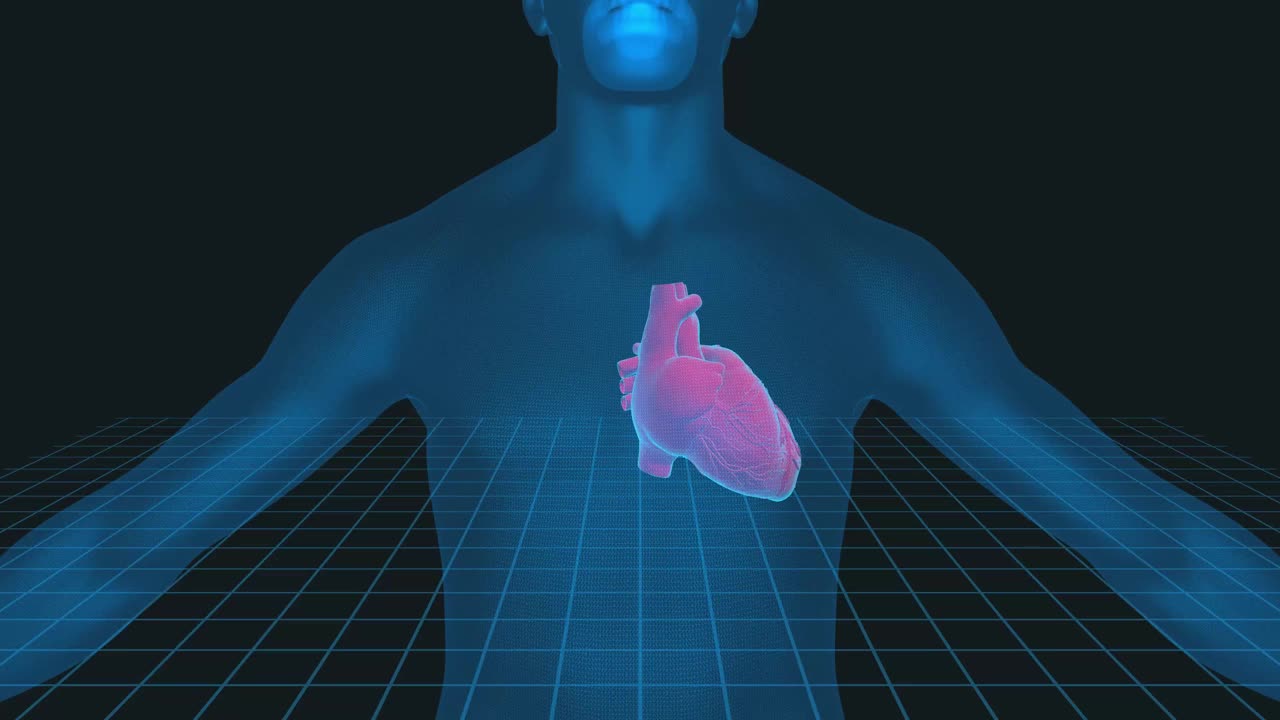 人类心脏3D插图- 4K循环医学背景