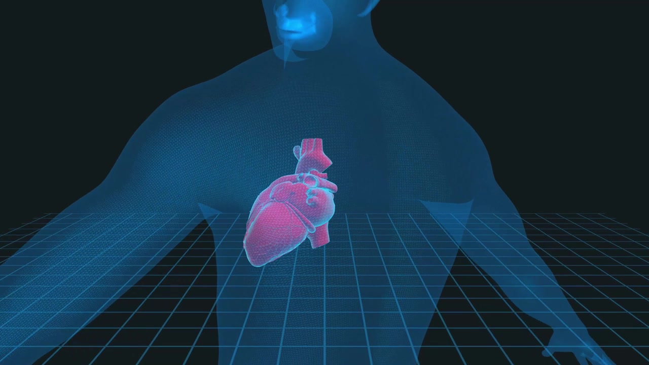 详情图-人类心脏3D插图-,4K循环医学背景