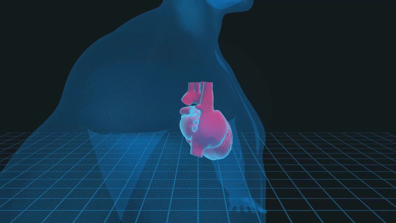 详情图-人类心脏3D插图-,4K循环医学背景