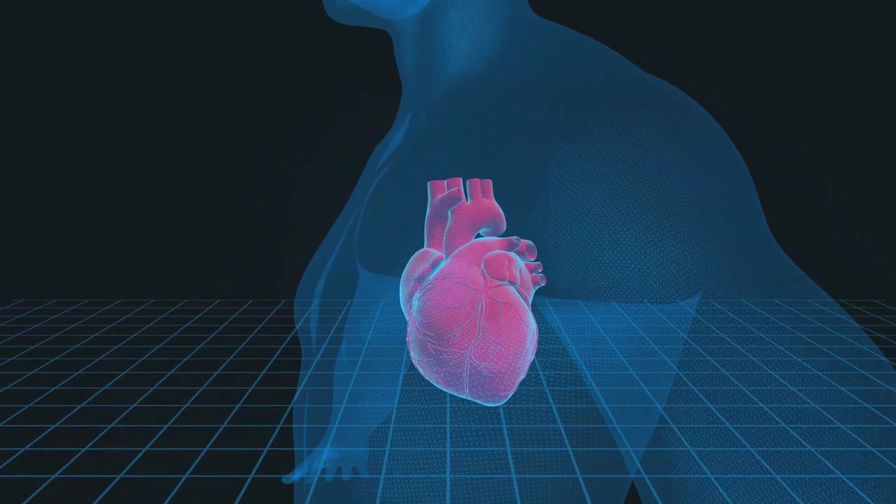 详情图-人类心脏3D插图-,4K循环医学背景