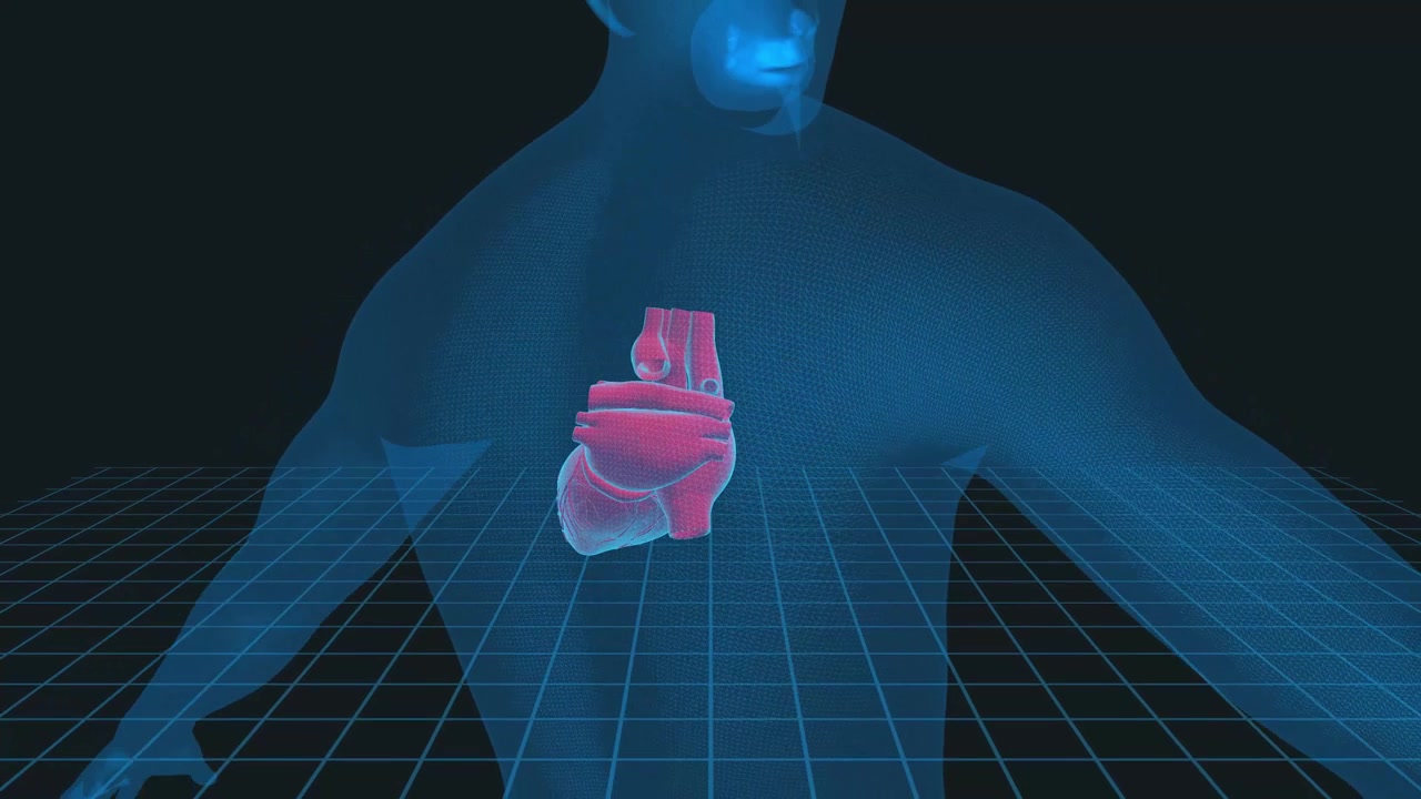 详情图-人类心脏3D插图-,4K循环医学背景