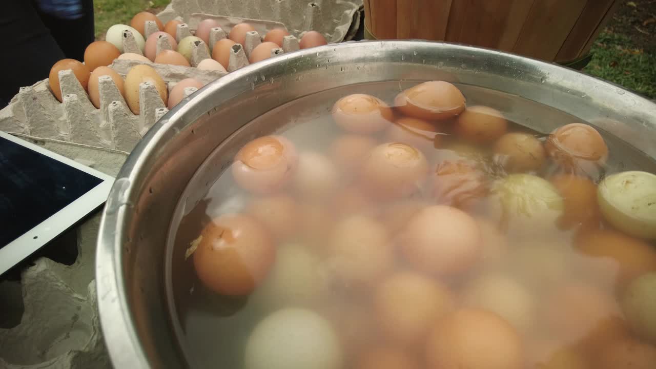 农场饲养的鸡自由放养的各种颜色鸡蛋包装在鸡蛋纸箱农场到餐桌美国西部农场生活和可持续生活4K视频系列
