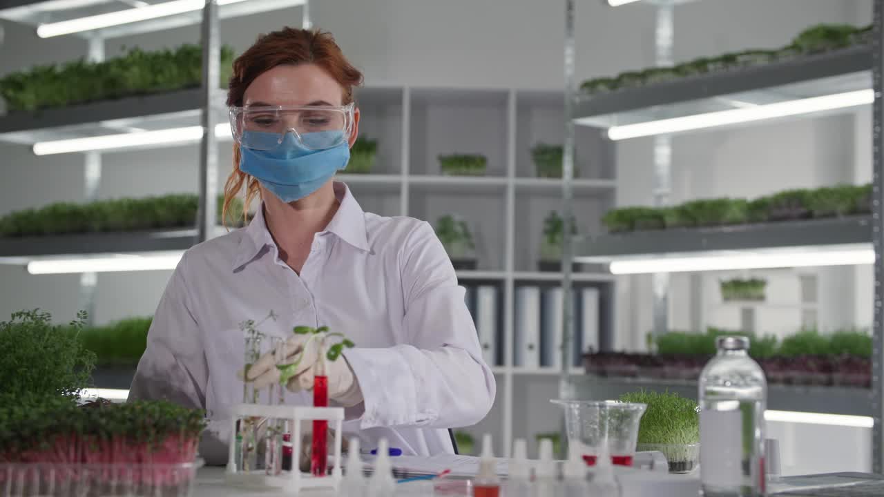 在实验室中进行转基因微绿色的研究，女科学家生物学家在医用口罩中将试剂滴入试管，用幼苗芽来研究植物的反应，微笑着看着镜头