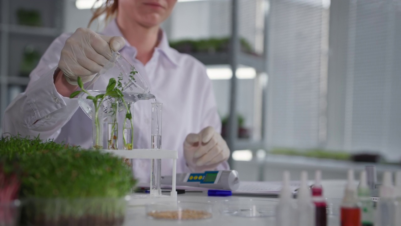 植物实验室，女实验室助理用测量设备检查水质，在现代温室的架子上灌溉年轻的微绿芽，特写镜头