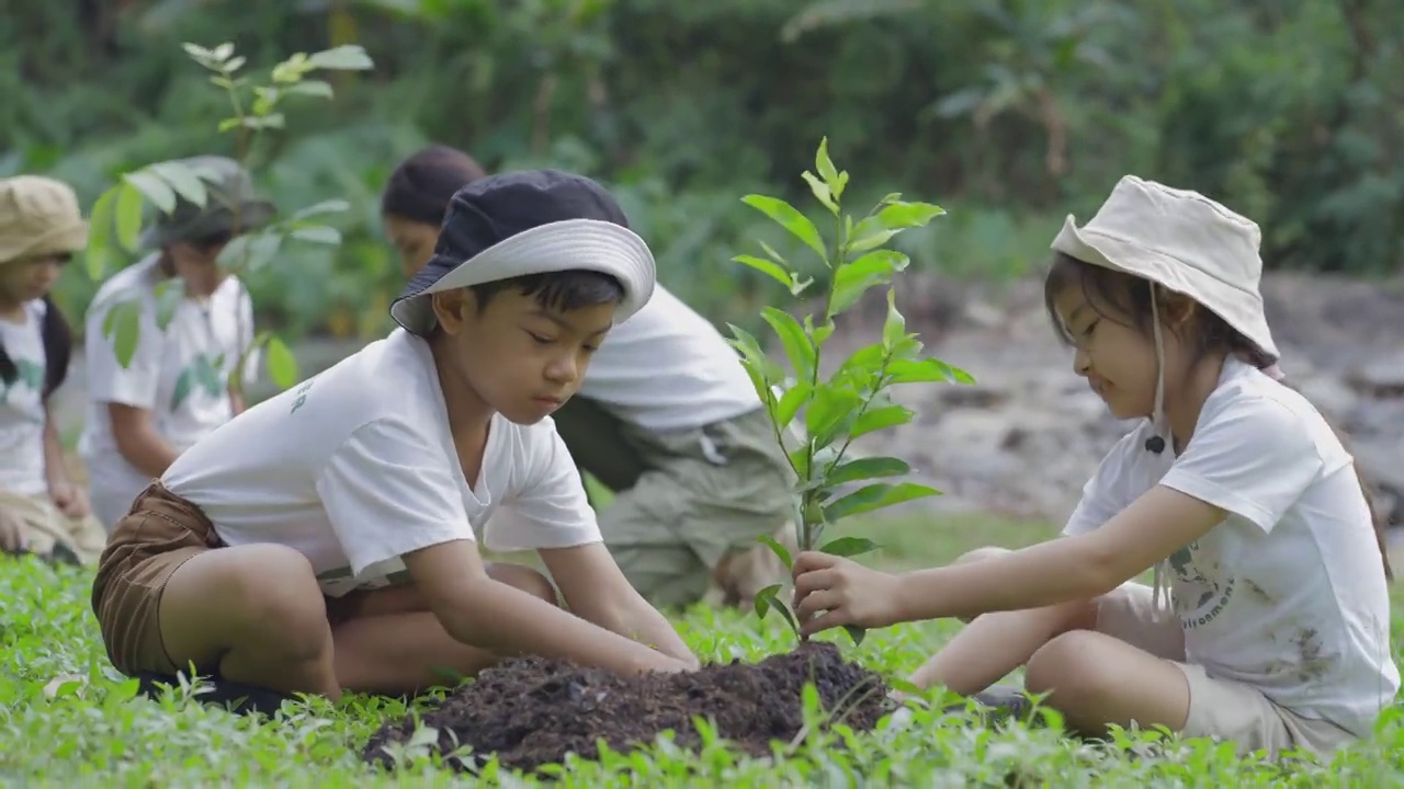 詳情圖-團體志愿者植樹造林作為拯救世界的理念。