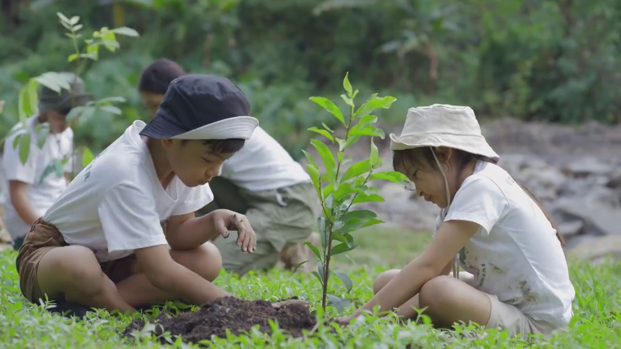 詳情圖-團體志愿者植樹造林作為拯救世界的理念。