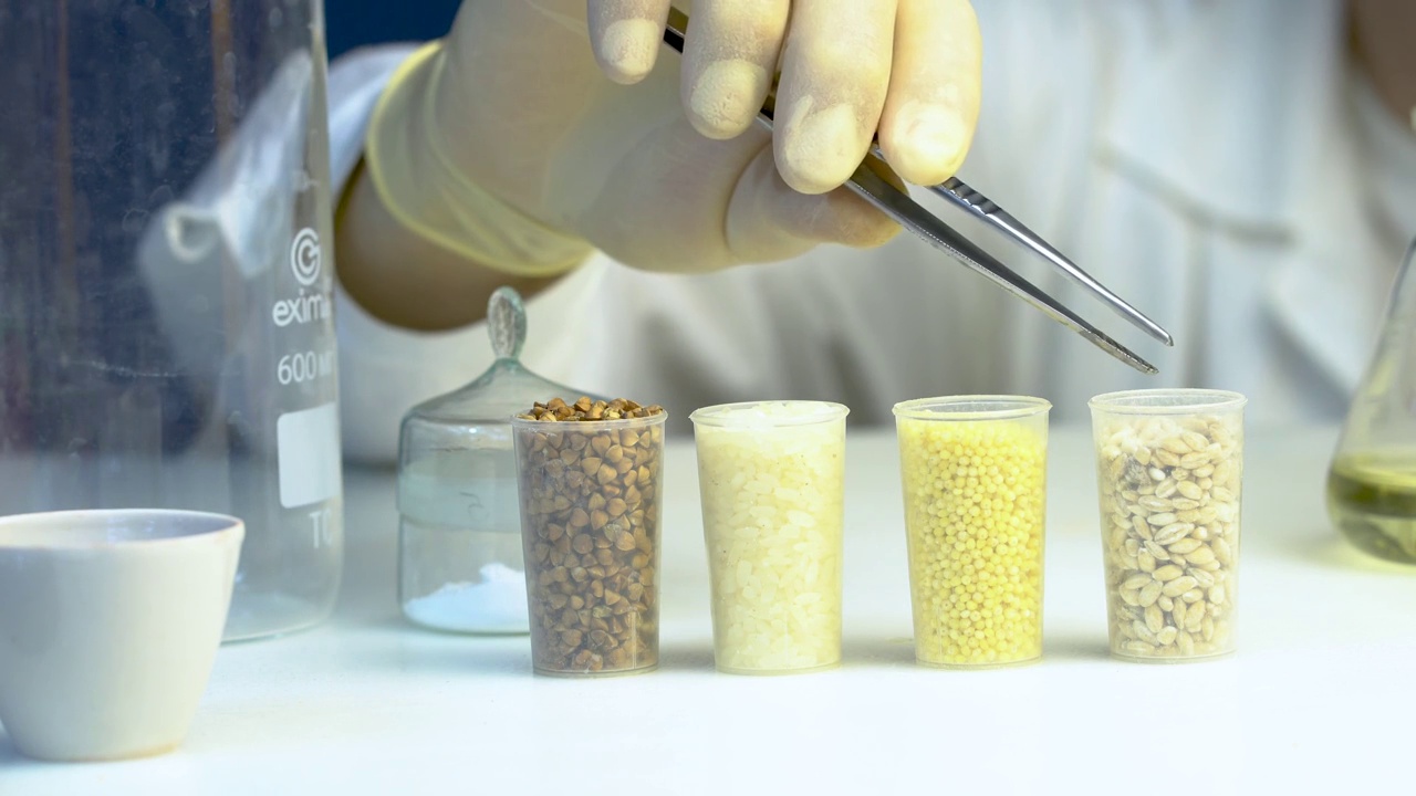 谷物实验室研究。食品质量实验室助理。