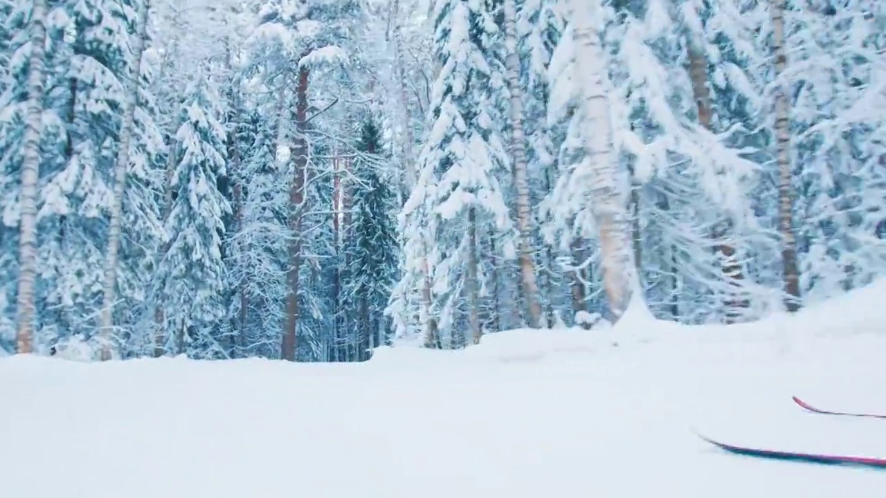 詳情圖-越野滑雪。穿著紅色滑雪服的年輕男子在冬季森林滑雪