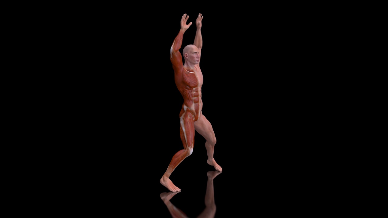 一个男人做开合跳的4K解剖