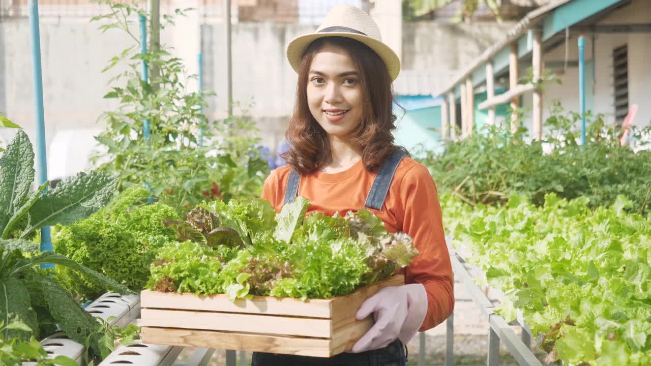 慢镜头:女园丁抱着戴着帽子的农民，在地里种着新鲜的生态蔬菜