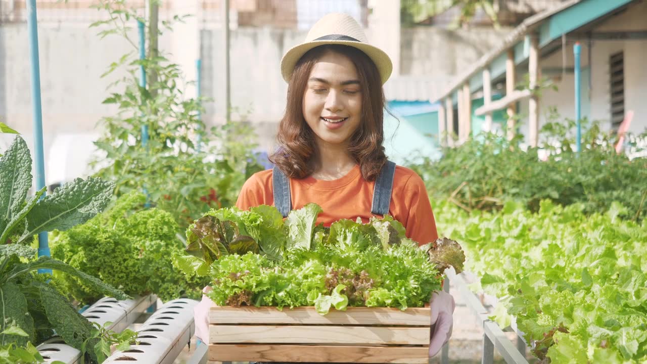 詳情圖-慢鏡頭:女園丁抱著戴著帽子的農(nóng)民，在地里種著新鮮的生態(tài)蔬菜