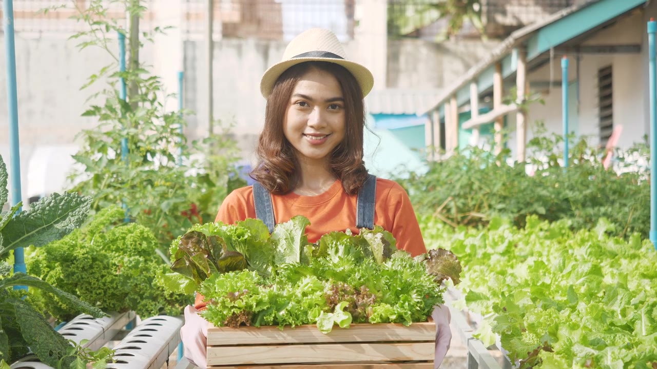 詳情圖-慢鏡頭:女園丁抱著戴著帽子的農(nóng)民，在地里種著新鮮的生態(tài)蔬菜