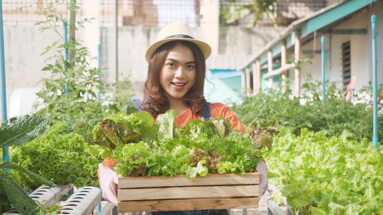詳情圖-慢鏡頭:女園丁抱著戴著帽子的農(nóng)民，在地里種著新鮮的生態(tài)蔬菜