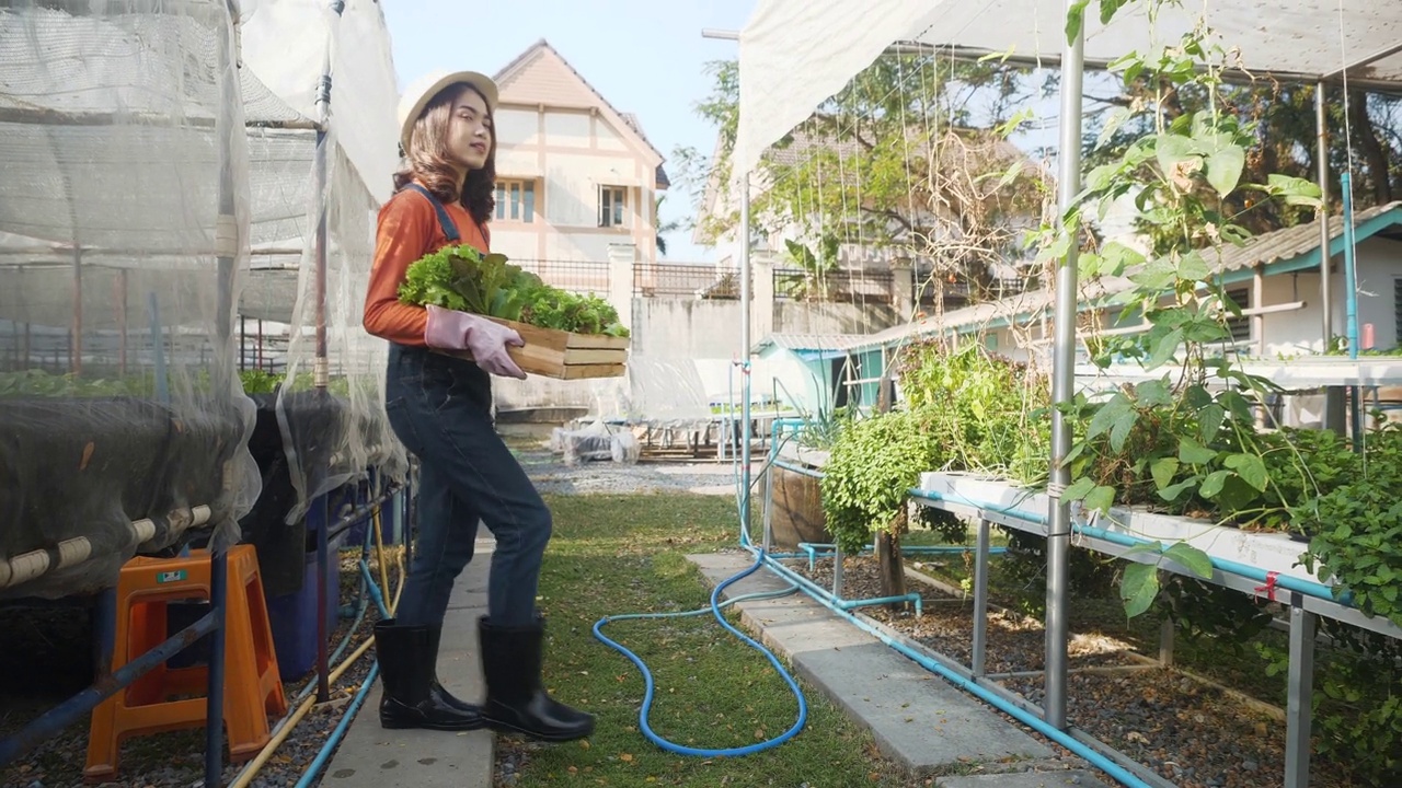 慢镜头:女园丁抱着戴着帽子的农民，在地里种着新鲜的生态蔬菜