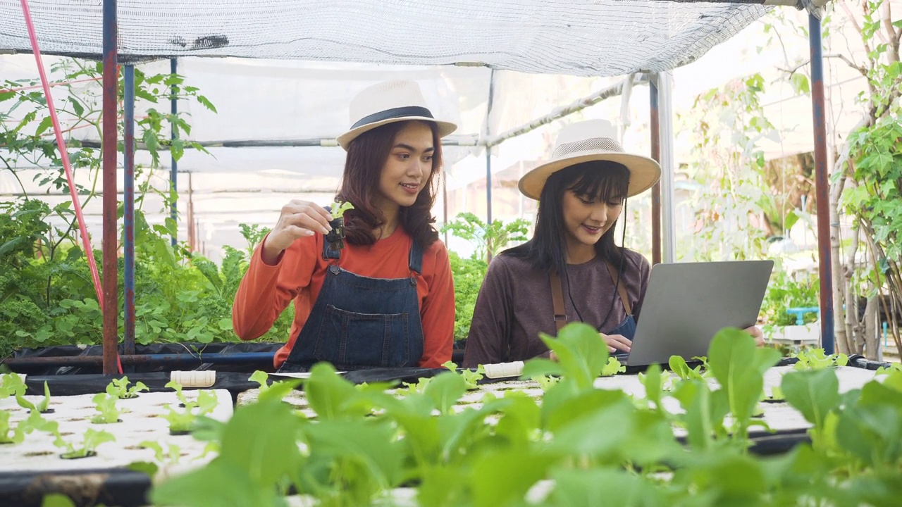 詳情圖-女園丁拿著筆記本電腦檢查地里的蔬菜。田里的蔬菜。一名女園丁在農(nóng)場(chǎng)使用水質(zhì)儀。檢查水培系統(tǒng)水箱的EC值