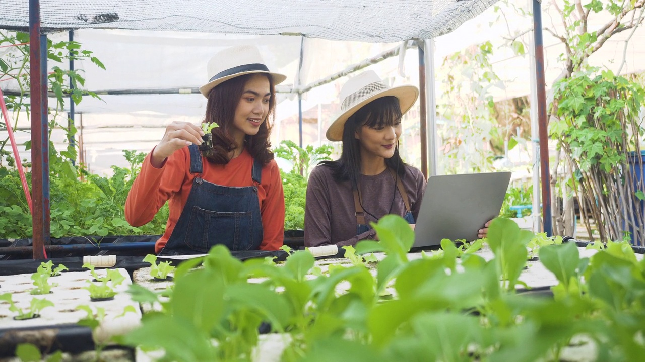 詳情圖-女園丁拿著筆記本電腦檢查地里的蔬菜。田里的蔬菜。一名女園丁在農(nóng)場(chǎng)使用水質(zhì)儀。檢查水培系統(tǒng)水箱的EC值